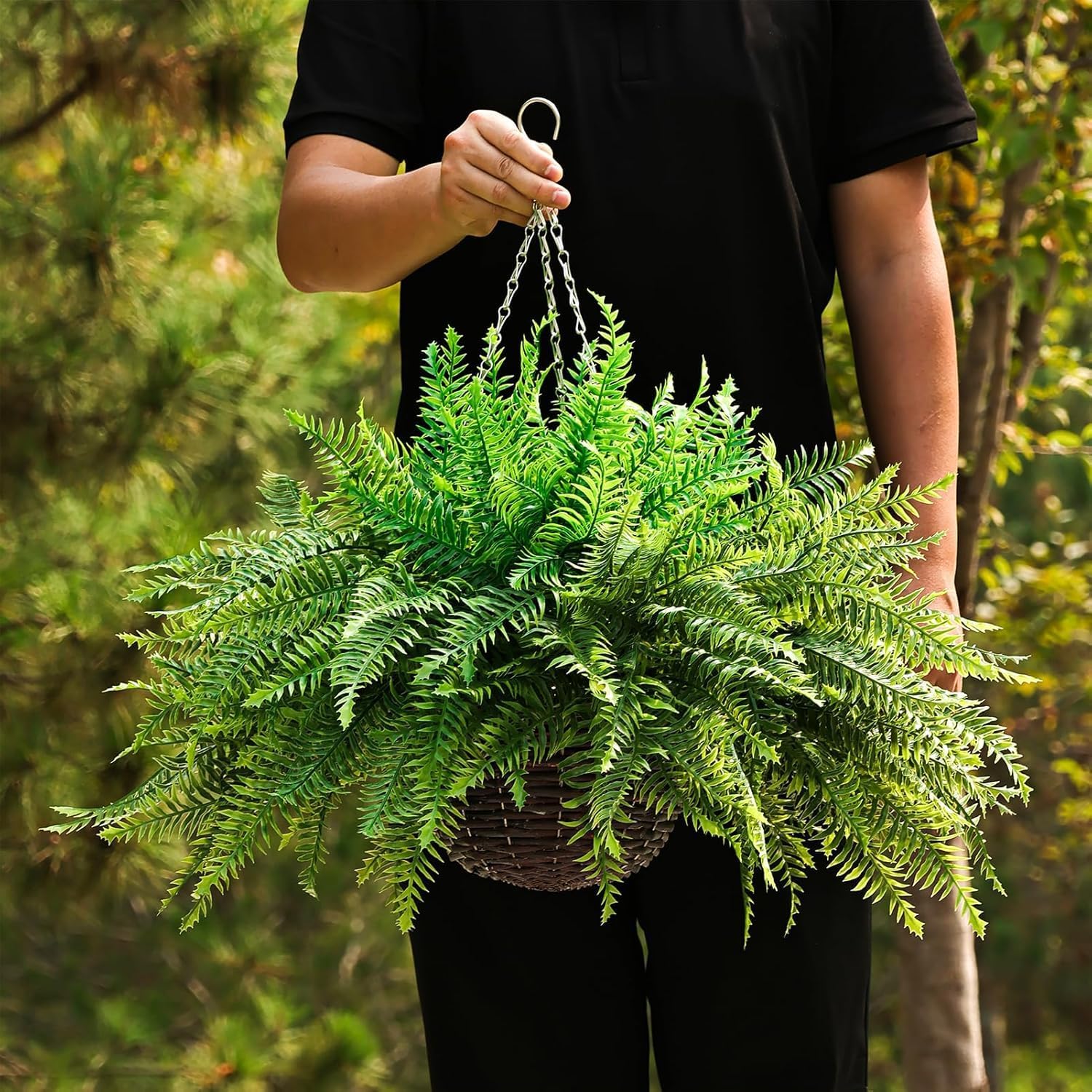 Persian fern hanging basket