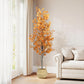 Autumnal Eucalyptus tree