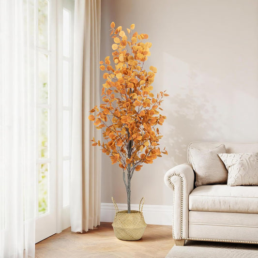 Autumnal Eucalyptus tree