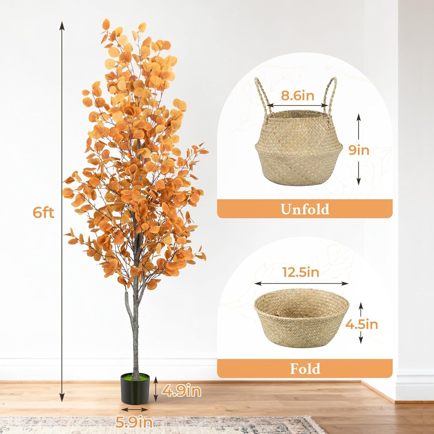 Autumnal Eucalyptus tree