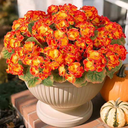 Artificial Begonia flowers