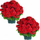 Artificial Geranium Bush
