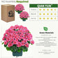 Artificial Geranium Bush