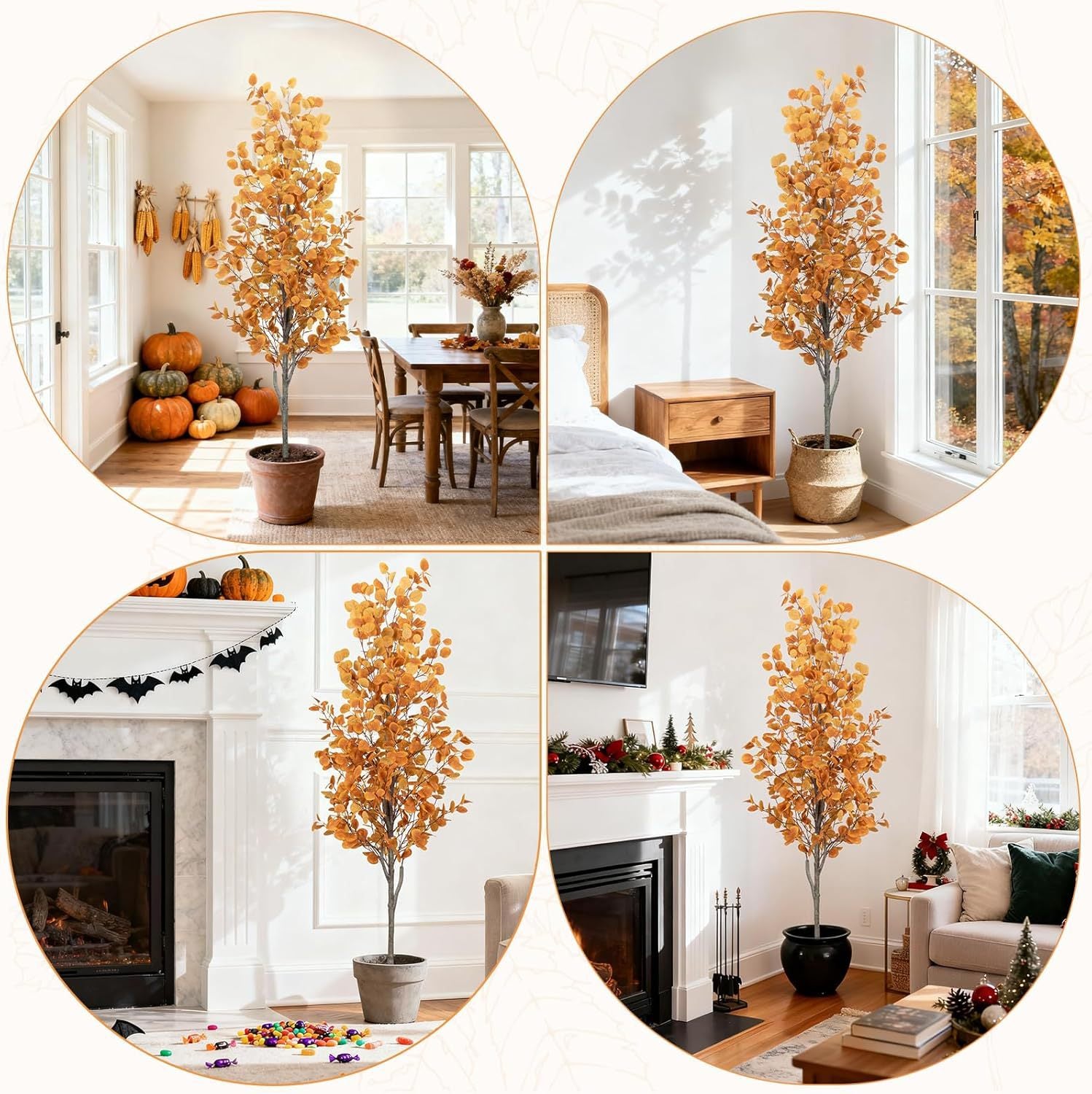 Autumnal Eucalyptus tree