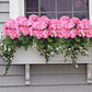 Artificial Begonia flowers