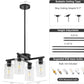 Black modern glass chandelier