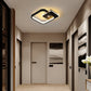 Corridor modern ceiling lamp