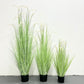 dog's tail grass - artificial plant