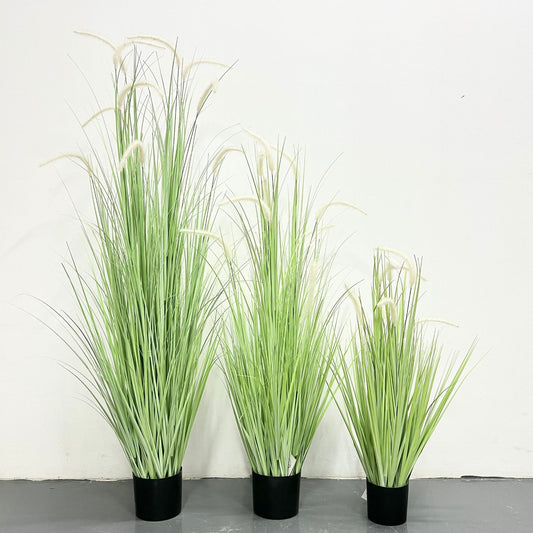 dog's tail grass - artificial plant