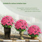 Artificial Geranium Bush