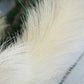 dog's tail grass - artificial plant