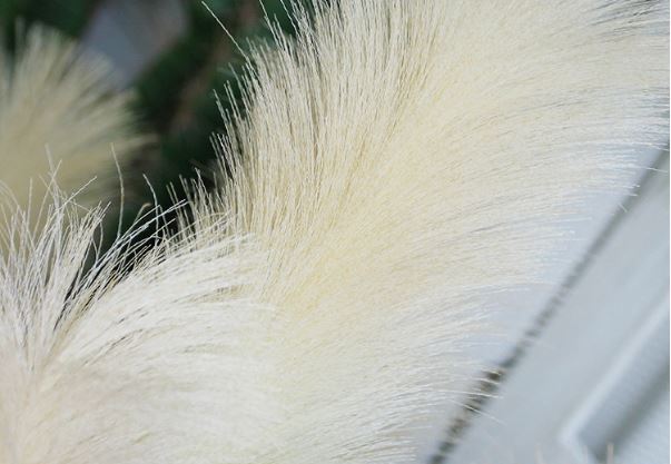 dog's tail grass - artificial plant