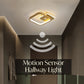 Corridor modern ceiling lamp