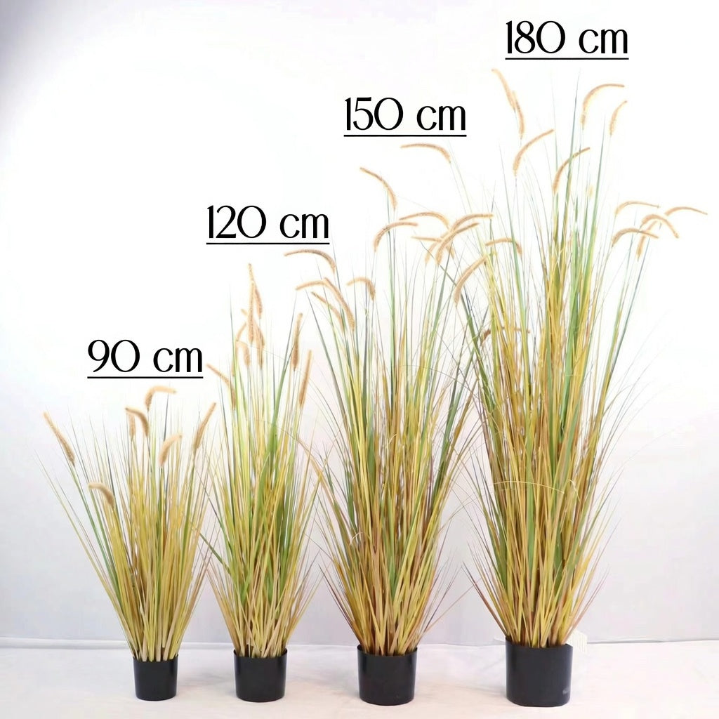 dog's tail grass - artificial plant