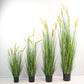 dog's tail grass - artificial plant