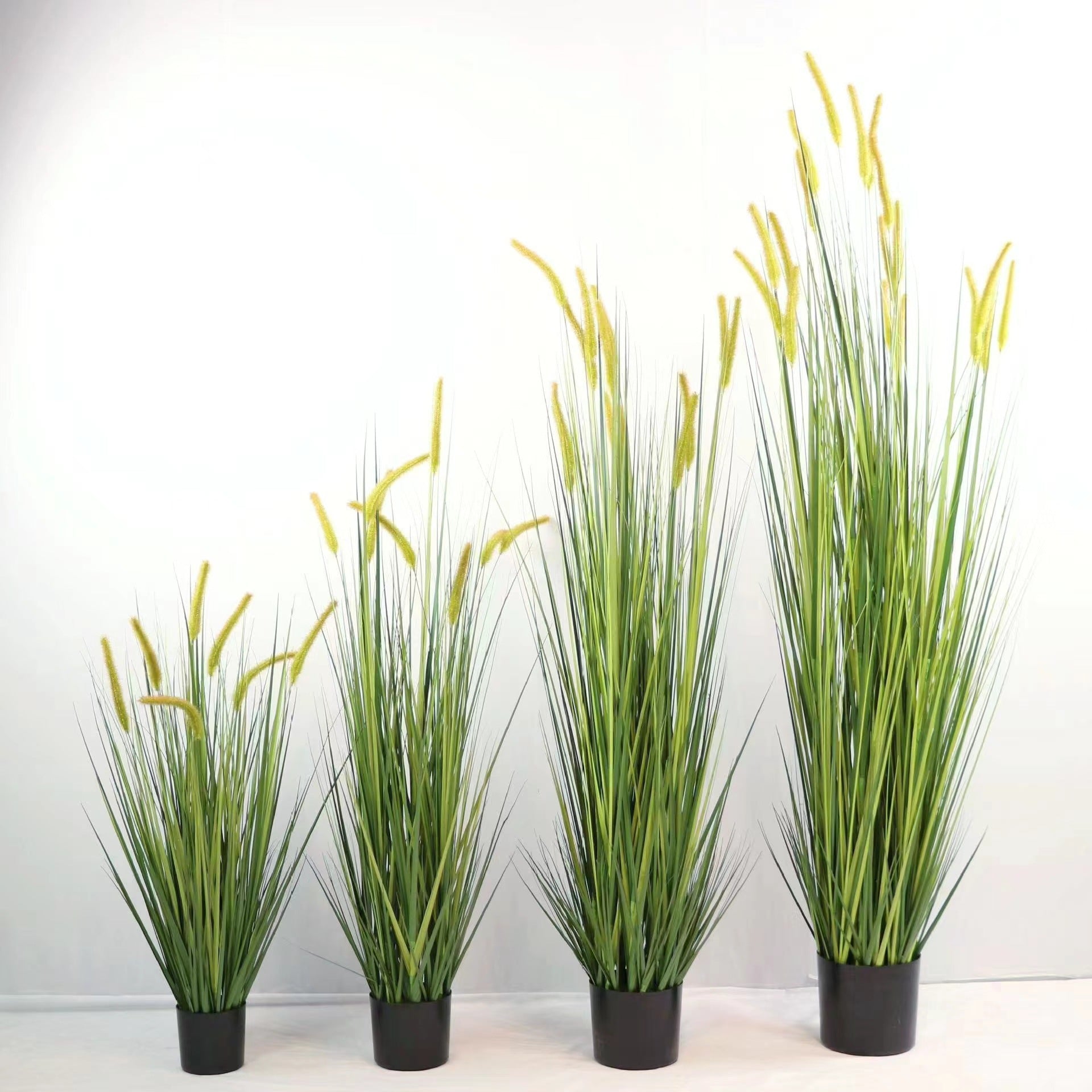 dog's tail grass - artificial plant