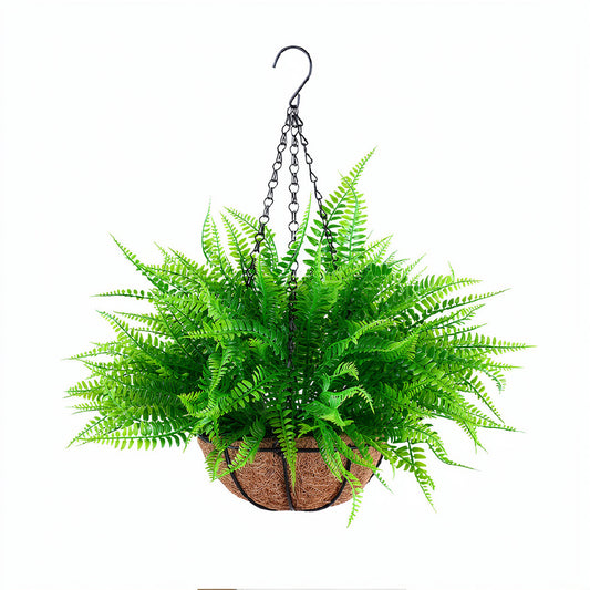 Persian fern hanging basket
