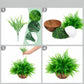 Persian fern hanging basket