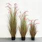 dog's tail grass - artificial plant