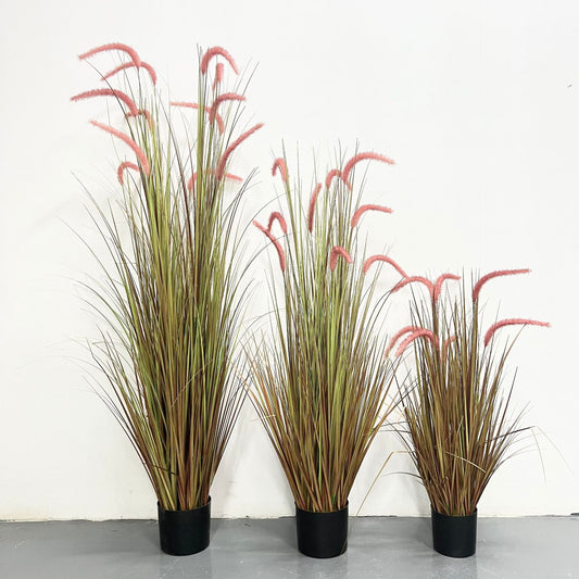 dog's tail grass - artificial plant